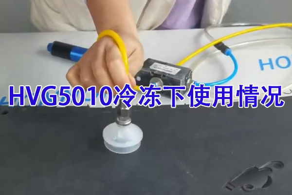 HVG5010冷冻过后是否会影响使用