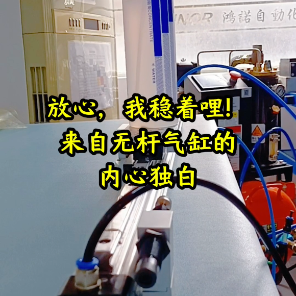 OSPL带油压缓冲无杆气缸应用